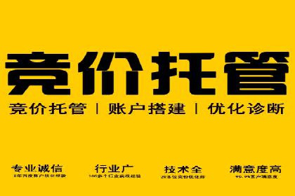 优化SEM广告投放：成功案例分享
